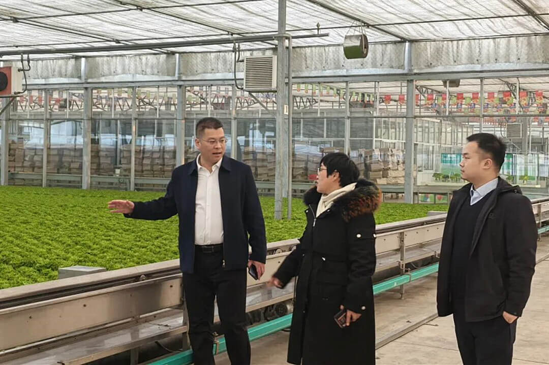 五篇大文章 临商新答卷②｜链上融通，田间送达——临商银行引金融活水浇灌普惠金融沃土